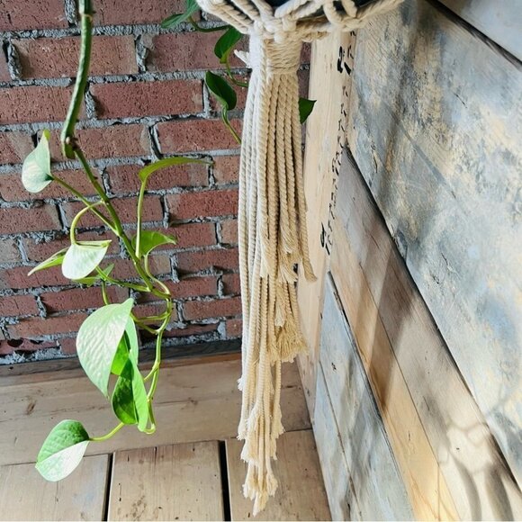 rope tied  macrame plant hanger - Picture 10 of 11